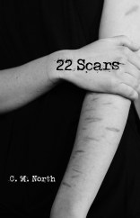 22 Scars Digital Cover